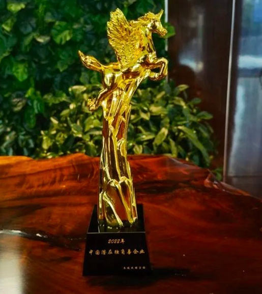 再度登榜！江蘇中新瑞連續(xù)兩年榮獲“中國潛在獨(dú)角獸企業(yè)”榮譽(yù)稱號